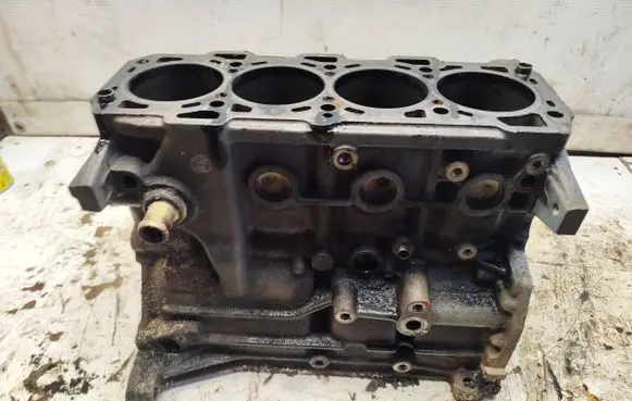 Opel Zafira B Engine block 55196611 OK708522 222200