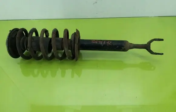 Volkswagen PASSAT B5.5 Front shock absorber with coil spring 170811
