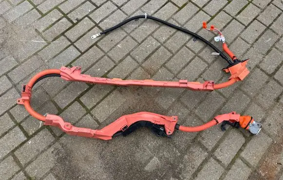 Toyota RAV 4 (XA50) Other wiring loom 821H142011