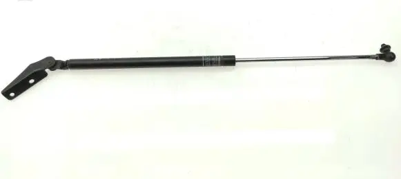 Tailgate strut