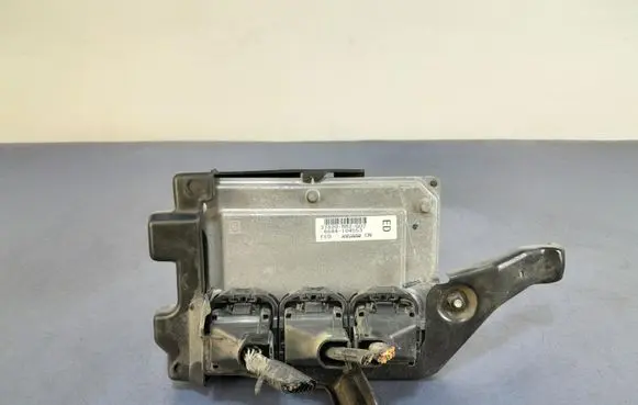 Engine control unit/module ECU