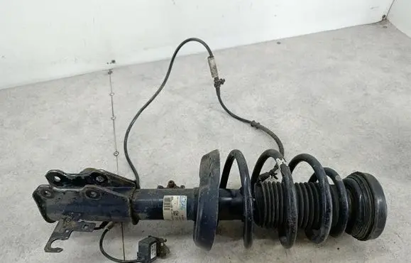 Opel Insignia A Front shock absorber/damper 13319742