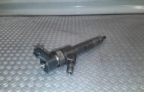 Renault Megane II Fuel injector 8200100272 0445110110b