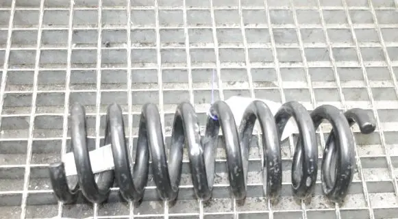 Chrysler 300 - 300C Rear coil spring 04895314AC