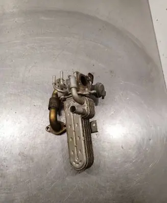 Volkswagen Golf V EGR valve 03g131063e 038131513AD