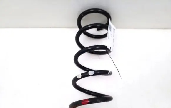 Nissan Murano Z50 Rear coil spring 
