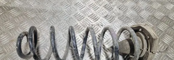Renault Scenic III - Grand scenic III Rear coil spring