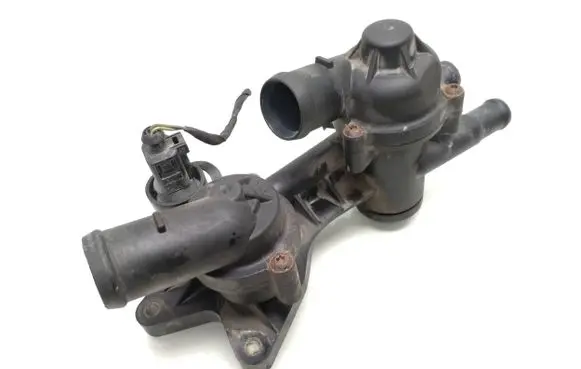 Thermostat/thermostat housing