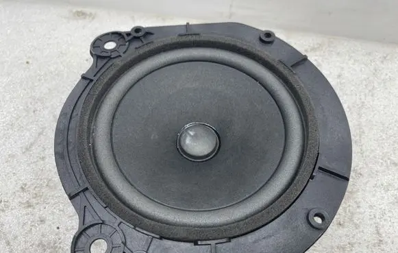 Tesla Model X Rear door speaker 105070900