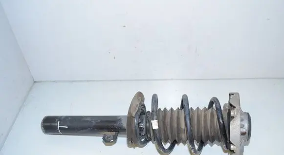 Front shock absorber with coil spring
