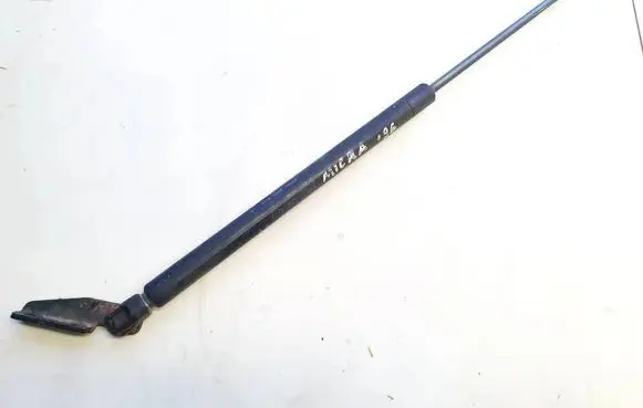 Tailgate/trunk strut/damper