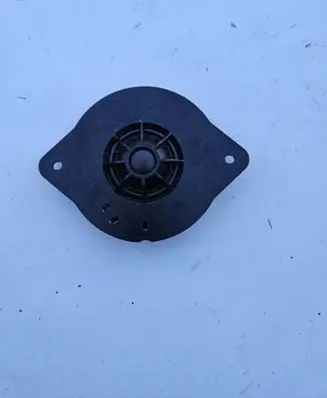 Front door high frequency speaker