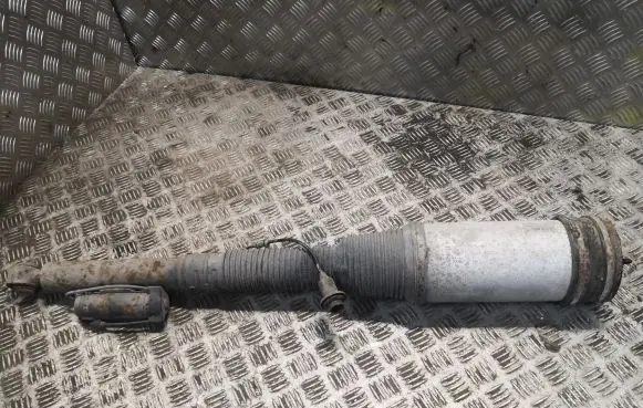 Mercedes-Benz S W221 Rear shock absorber/damper 2213205513 A2213205513