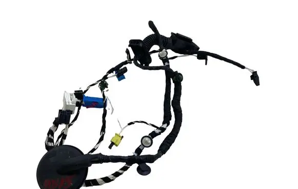 Volkswagen Tiguan Front door wiring loom 5NB971162H