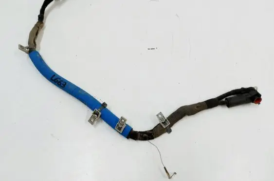 Other wiring loom