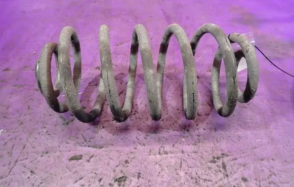 Rear coil spring