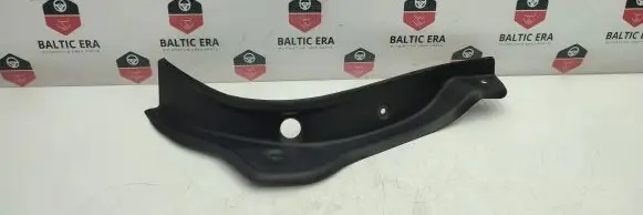 Rear/tail light trim molding