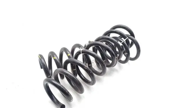 Rear coil spring