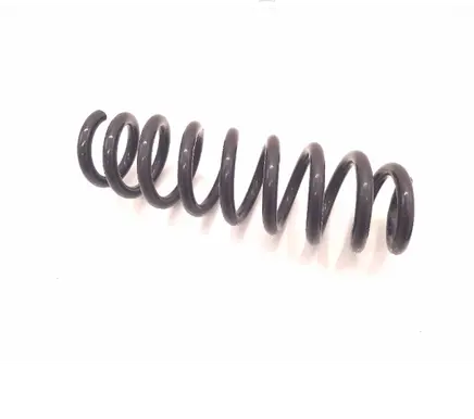 Rear coil spring