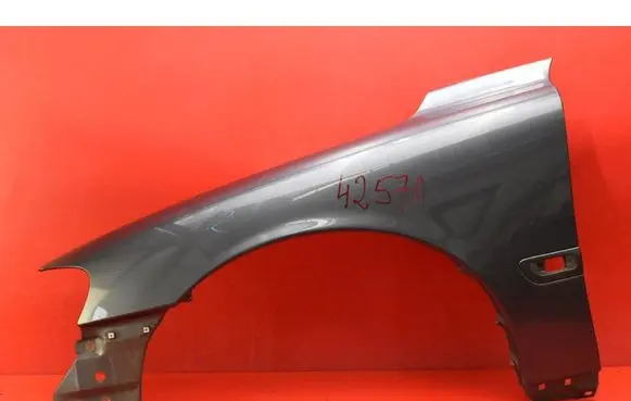 Fender