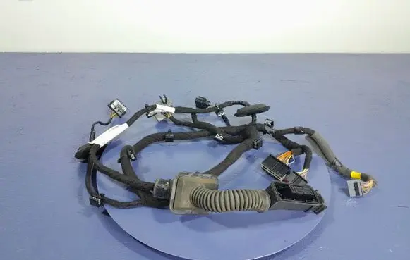 Volvo S90, V90 Other wiring loom 31483456