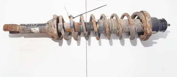 Honda Accord Rear coil spring