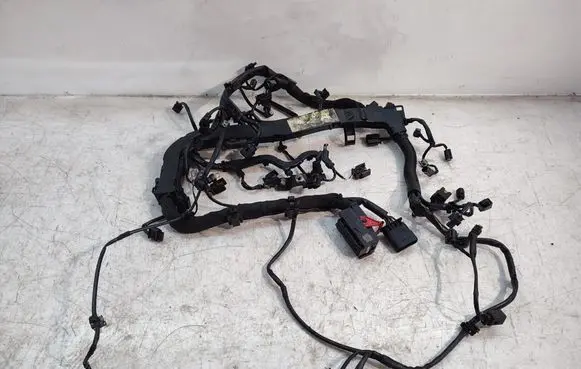 Engine installation wiring loom