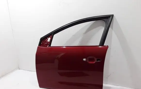 Dacia Sandero III Front door 801136242R