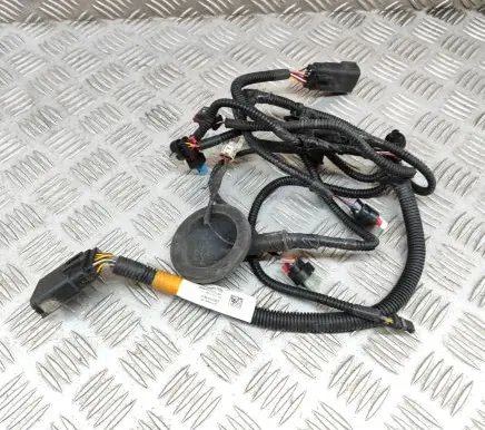 Tesla Model Y Other wiring loom 248905000A