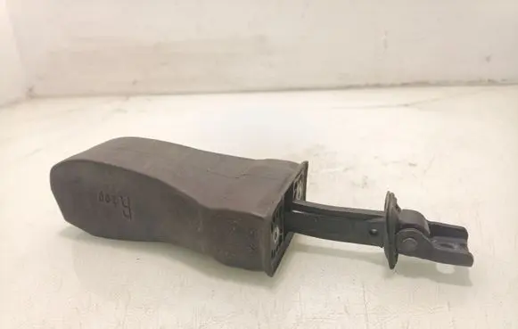 Volkswagen Jetta VI Rear door check strap stopper 5C6839249B