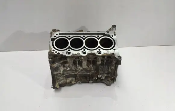 Hyundai Ioniq Engine block G4LE