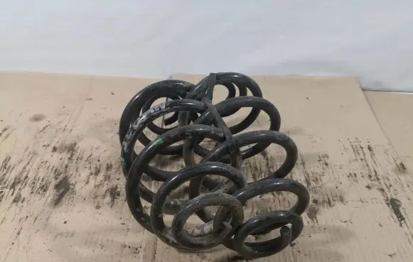 Volkswagen PASSAT B5 Rear coil spring