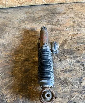 Opel Signum Rear shock absorber/damper 004947120050 24444031