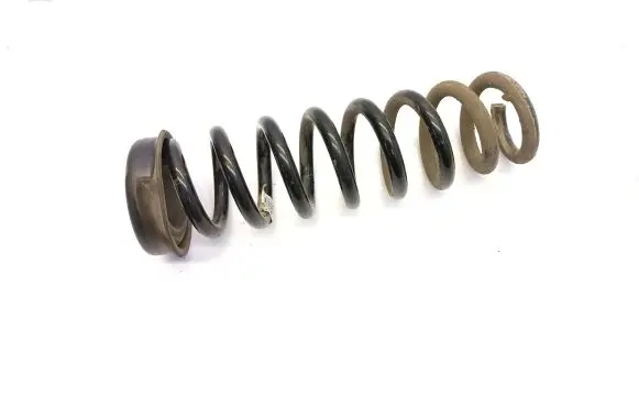 Rear coil spring