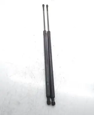 Tailgate/trunk strut/damper