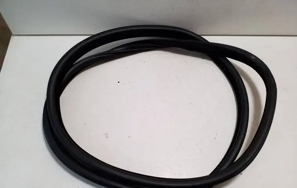 BMW X6 F16 Rubber seal rear door 7317822