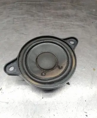 Panel speaker