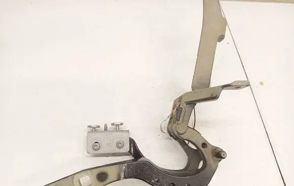 BMW 5 GT F07 Tailgate/trunk/boot hinge 7206640