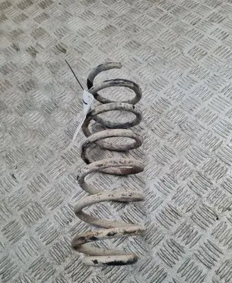 Rear coil spring