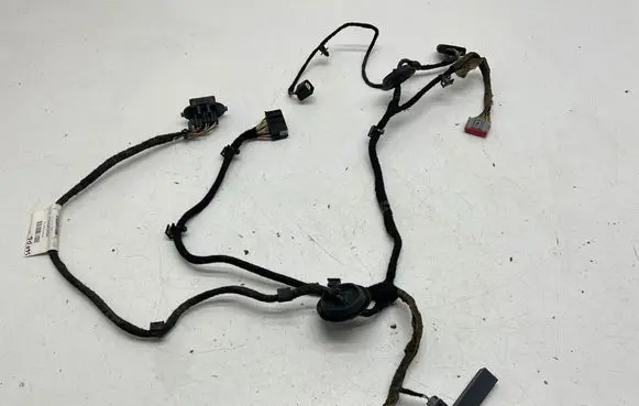 Rear door wiring loom