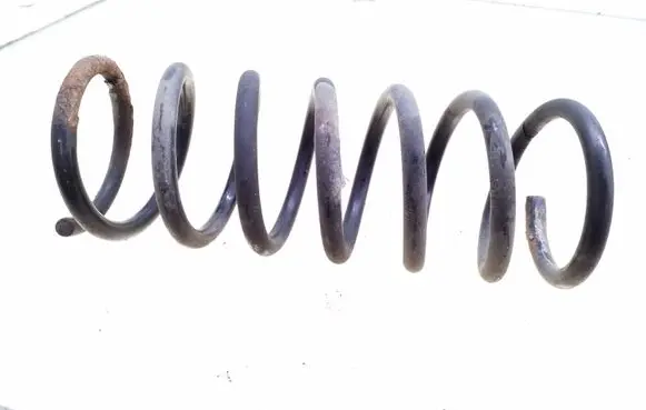 Rear coil spring