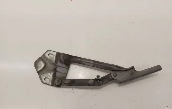 Volkswagen Touran II Engine bonnet/hood hinges 1T0823301F ES03