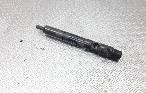 Renault Megane II Fuel injector EJBR05102D