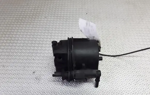 Peugeot 206 Fuel filter 9660023380