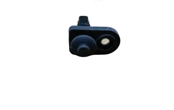 Hyundai Santa Fe Front door sensor 
