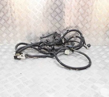 Tesla Model S Other wiring loom 334721201