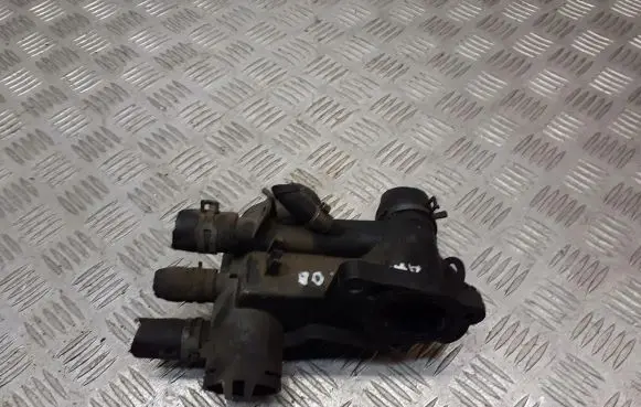 Thermostat/thermostat housing