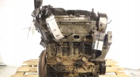 Volkswagen PASSAT B7 Engine CAY
