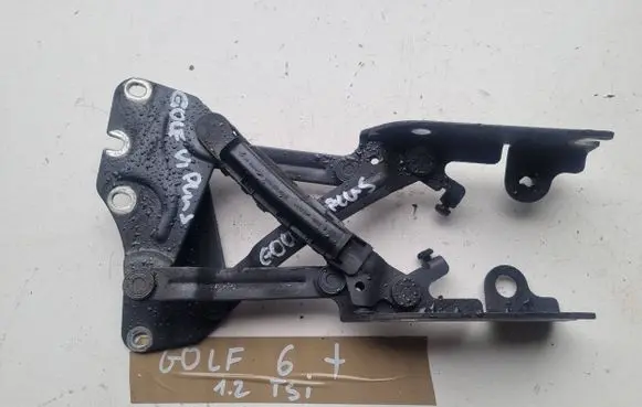 Volkswagen Golf Plus Engine bonnet/hood hinges 5M0823301