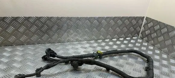 Lexus IS III XE30 Other wiring loom 8211353080C4 8211353080